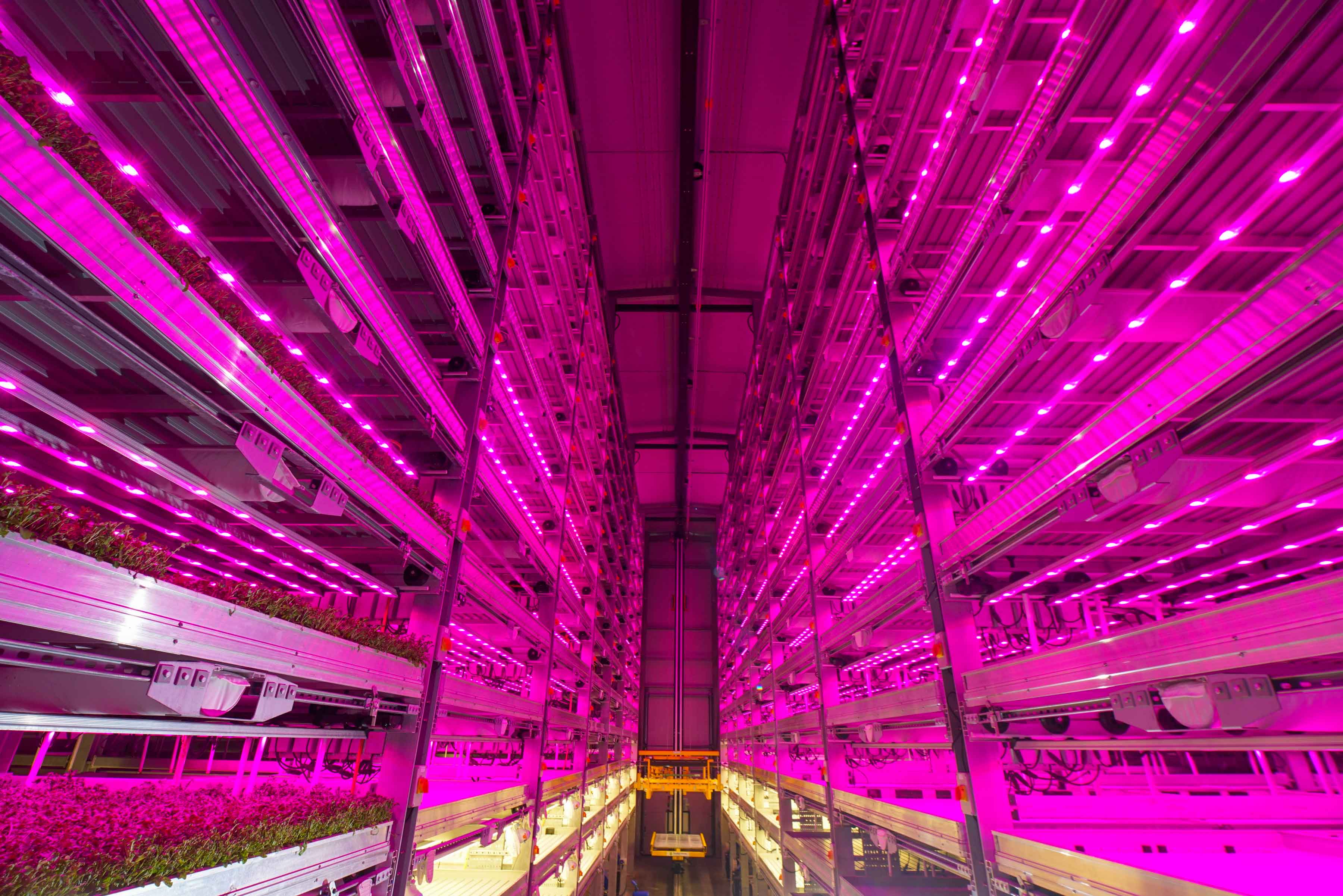 levels of huge vertical farm