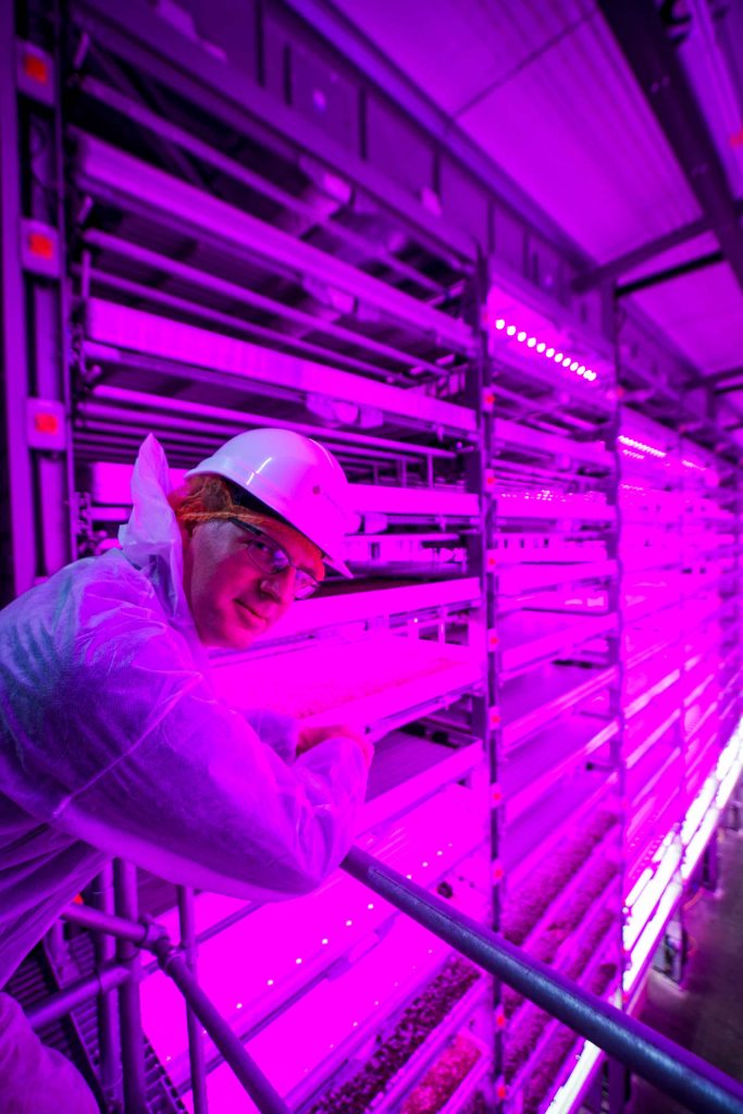 Tristan leaning by vertical farm